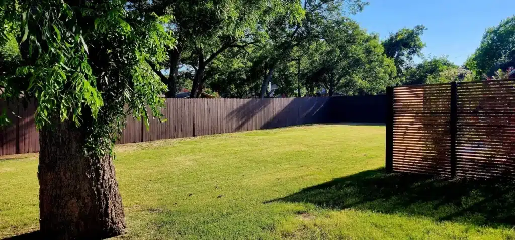 Sunny backyard with trimmed grass, tall wooden fence, and a large tree casting shade.